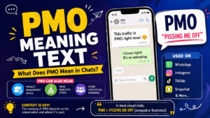 PMO meaning text infographic explaining the common meaning of PMO in chats, social media, and messaging.