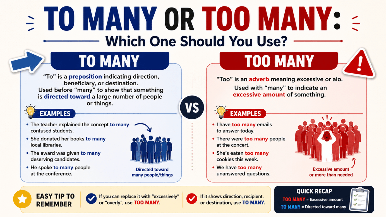 To many or too many comparison showing their meanings, examples, grammar rules, and an easy tip to choose the correct phrase.