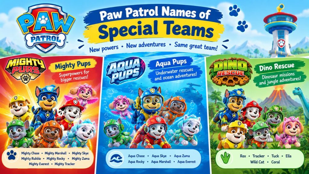 Paw Patrol Names of Special Teams
